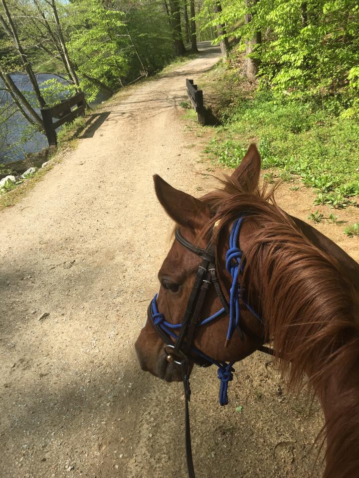 13177127_10100114204760095_6424462441061312462_n