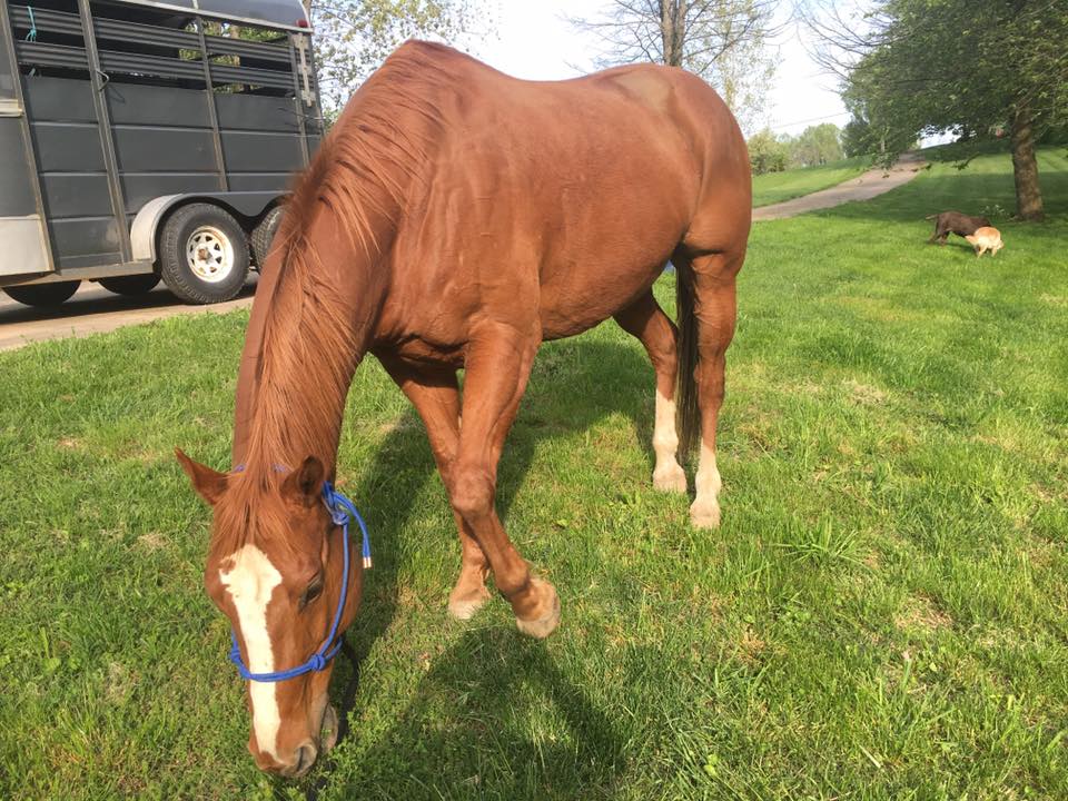 1936269_10100114204824965_4435045069762648178_n