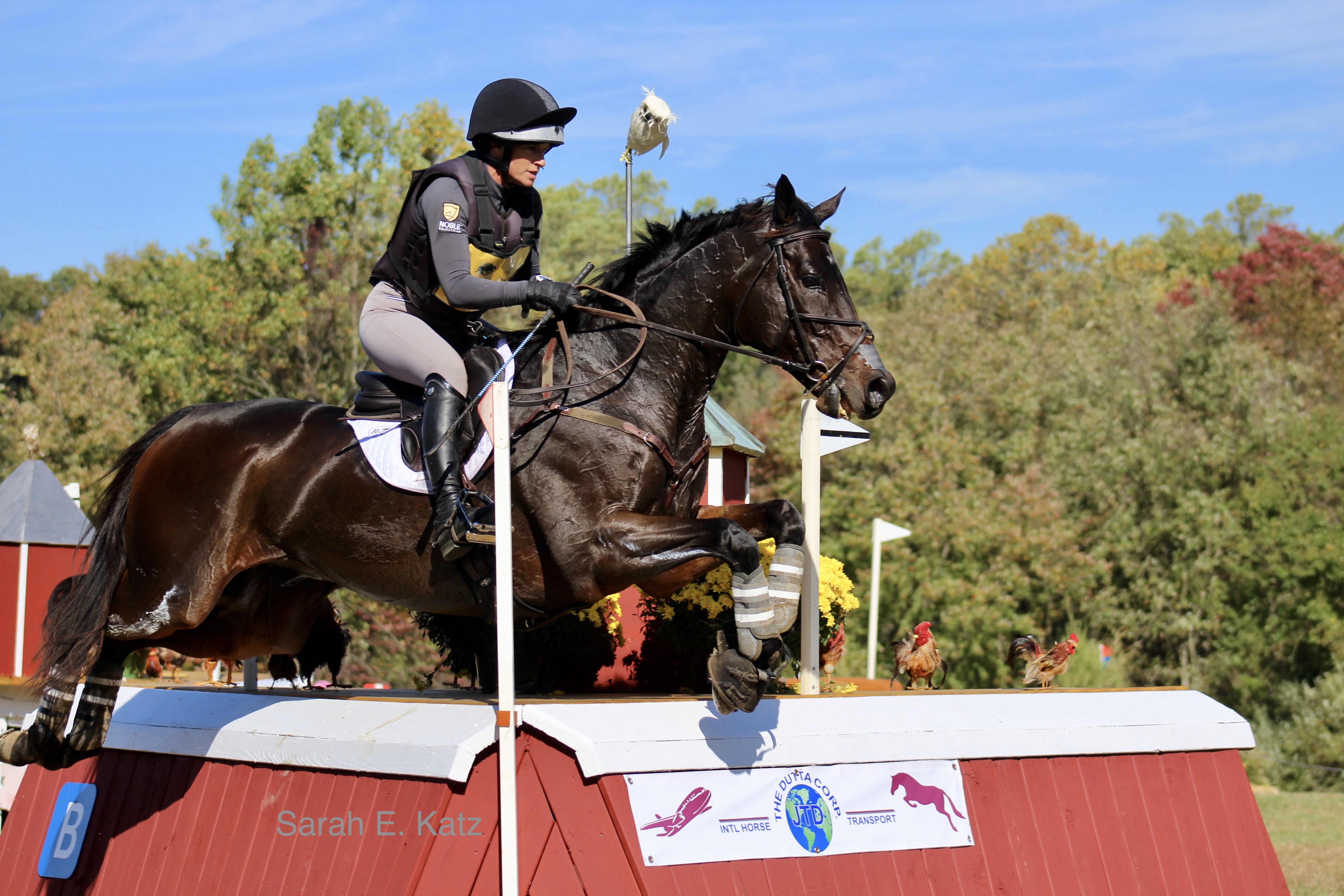 Paddy the Caddy and Erin Sylvester – Version 3