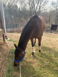 E6DDFB87-69D4-4D8E-8DA1-751A1FE67201