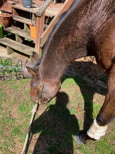 60581651043__697f7fae-cc7f-421d-ae14-91cb04311aa5