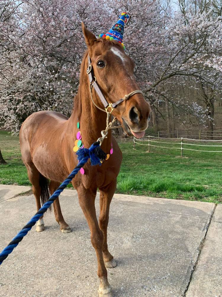 91698933_10100629930761055_6599592450057043968_o