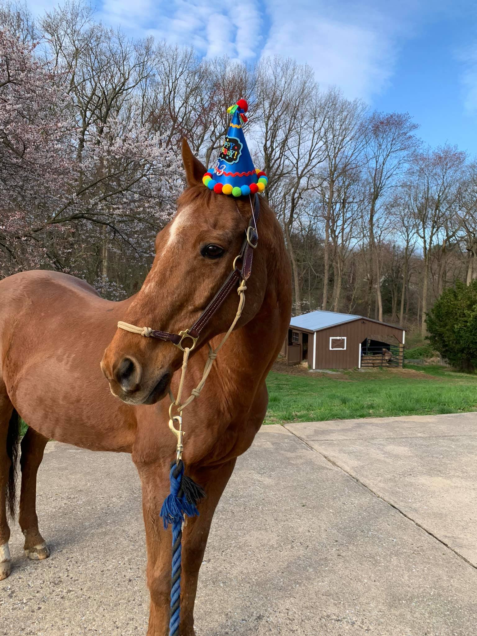 91799533_10100629930611355_5565864010265395200_o