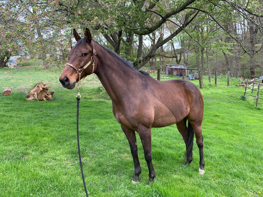 Nay Nay full body giving side eye