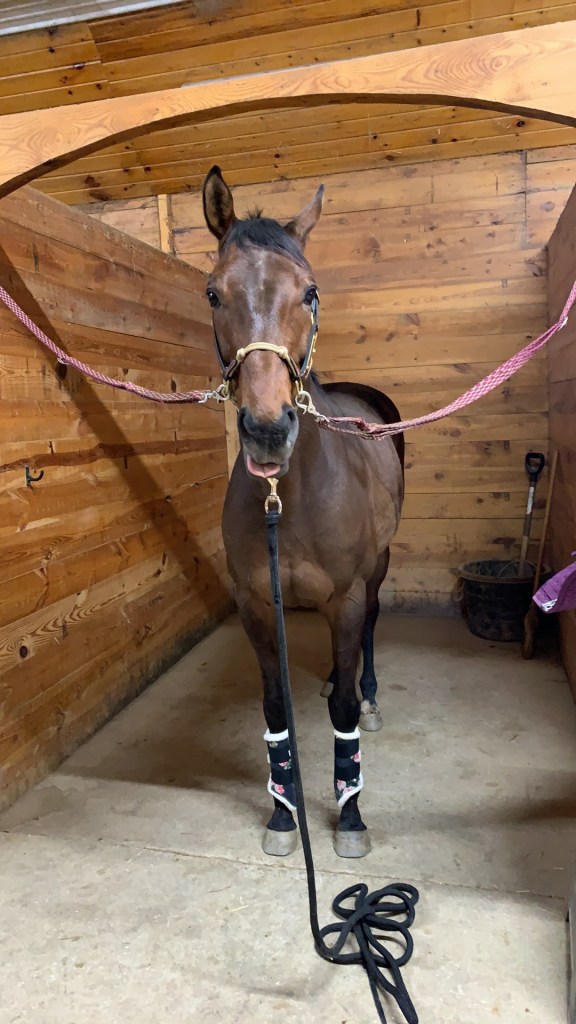Nay Nay in cross ties sticking out his tongue wearing floral boots