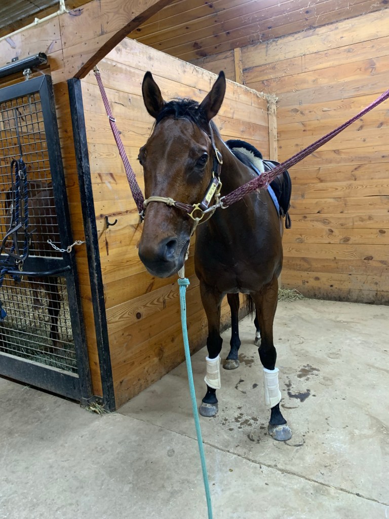 Tired Nay from too much work.