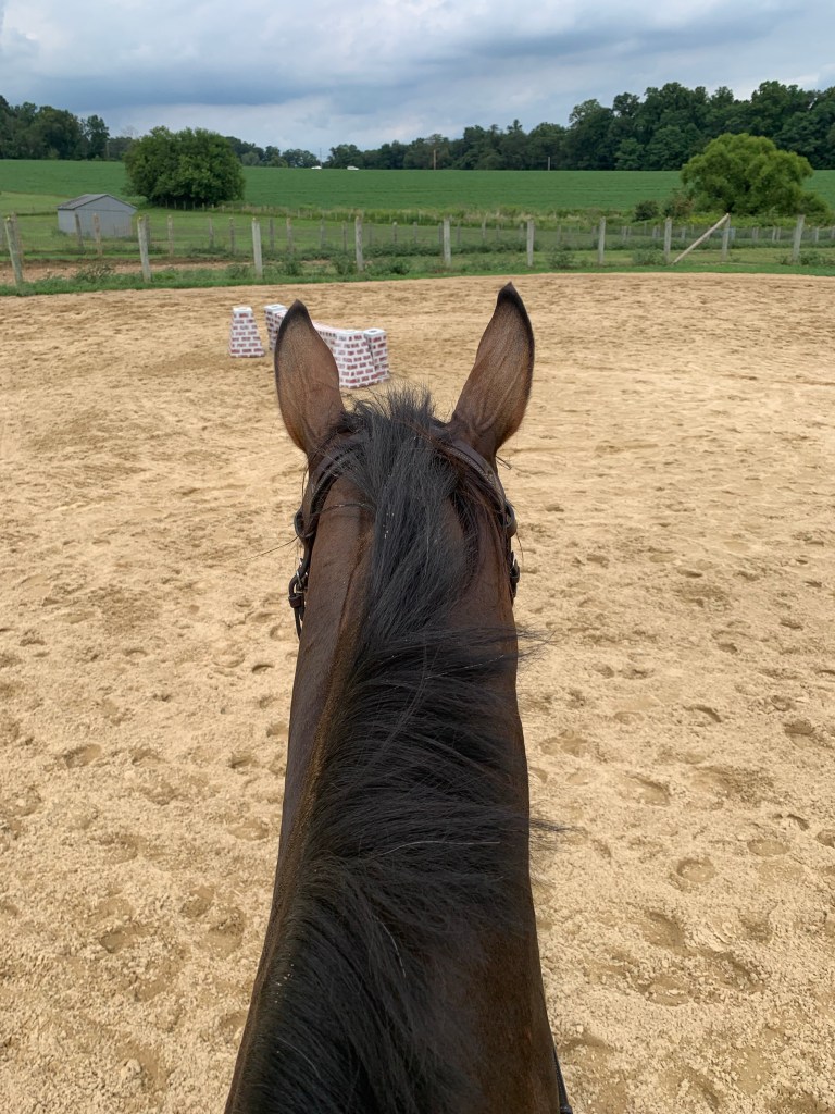 View from behind Nay Nay's ears as we look at the end jump