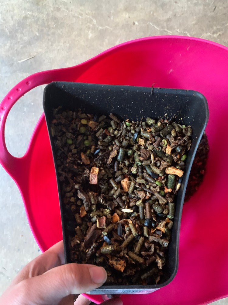 Wholesome Blends Senior