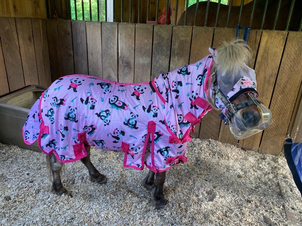 Jiminy dressed in a pink panda fly sheet and mask with his grazing muzzle