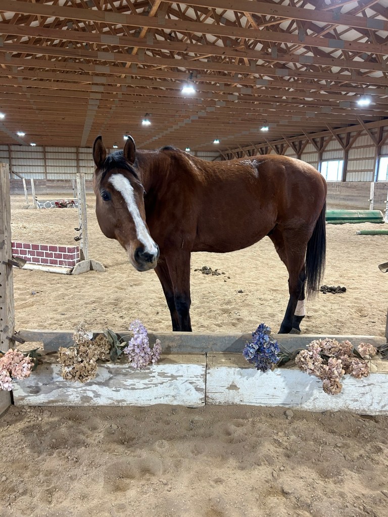 Cai exploring the indoor