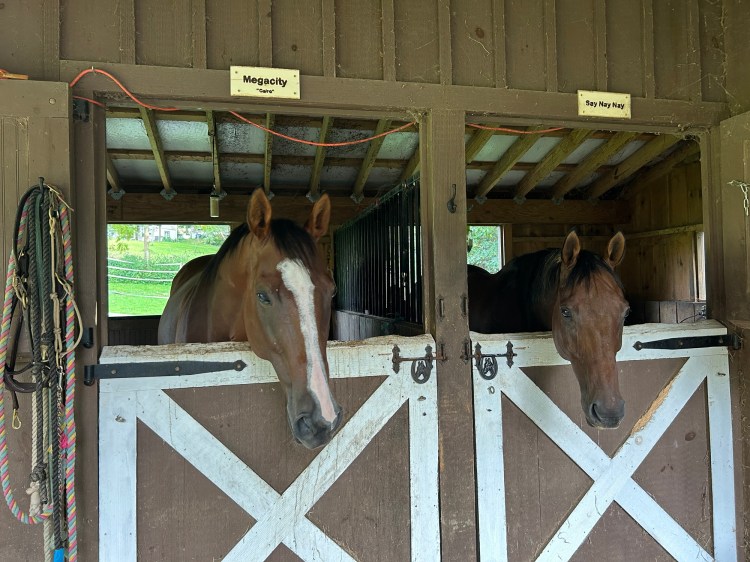 Cai and Nay and their stall signs